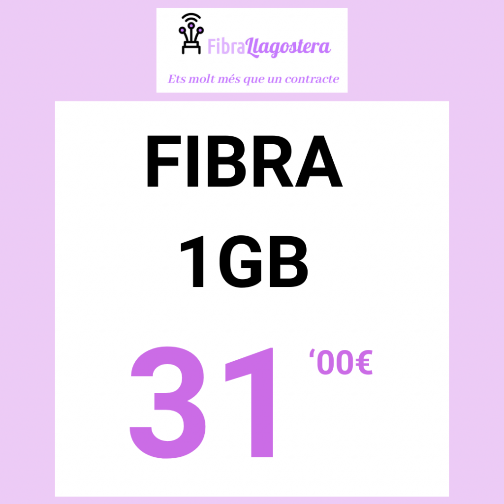 Fibra 1000GB de Fibrallagostera